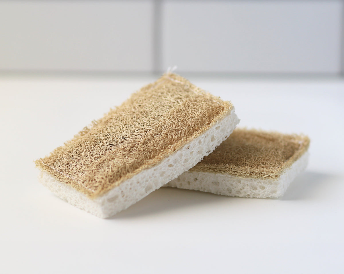 Large Damp Household Cleaning Sponges Review  Dual-Stripe Dust Clean Sponge  for Door Window 