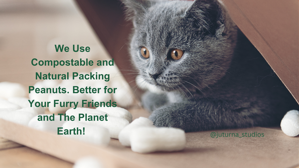 Hair Repair Bundle Set JUTURNA STUDIOS