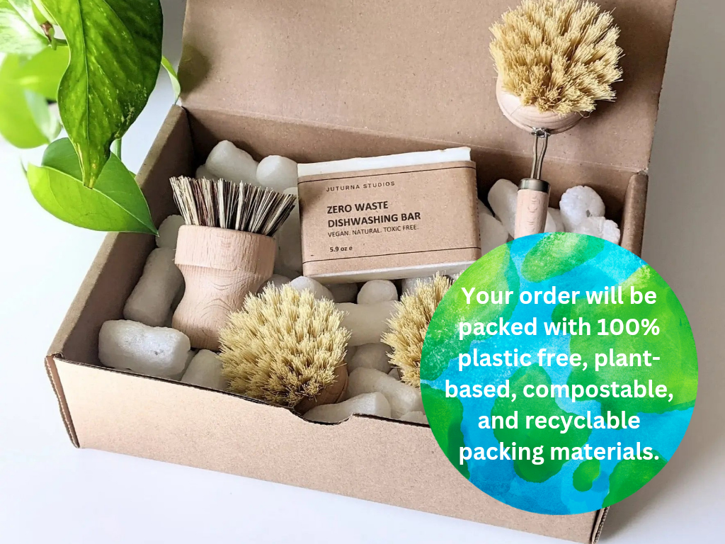 Zero Waste Dish Brush Kit