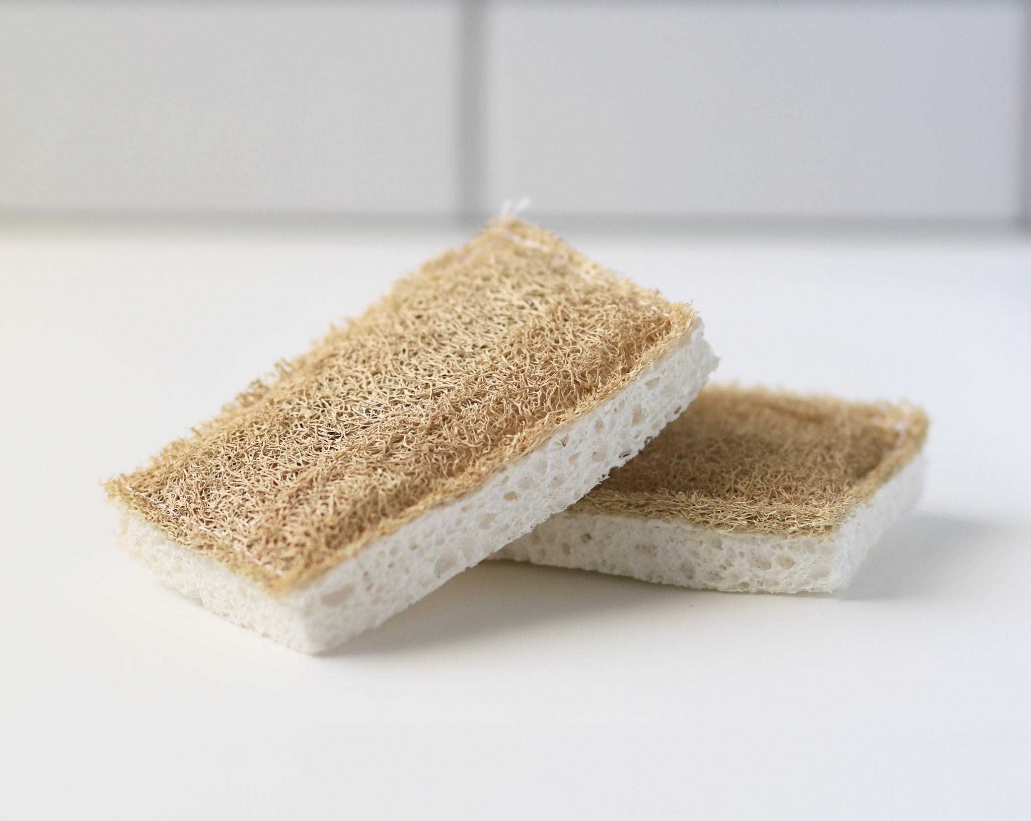 Double Sides Cleaning Sponges –