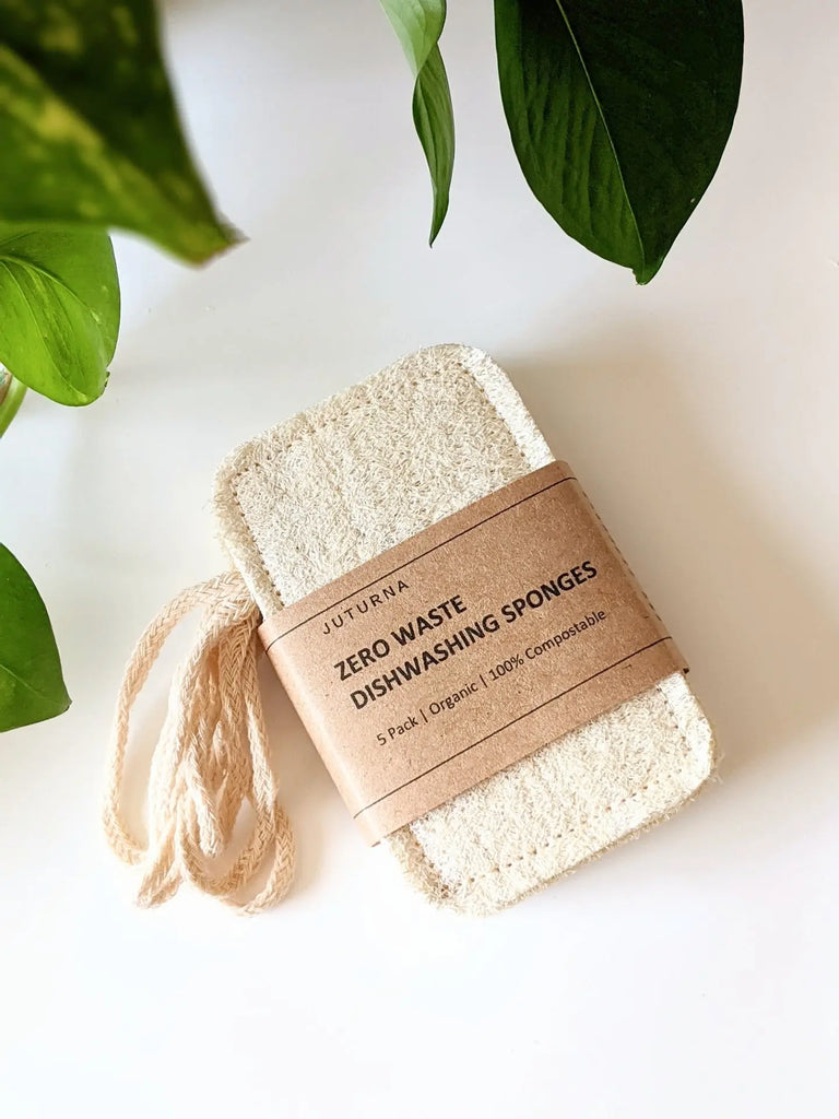 Natural Dish Sponge  Compostable Loofah - The Refill Shoppe